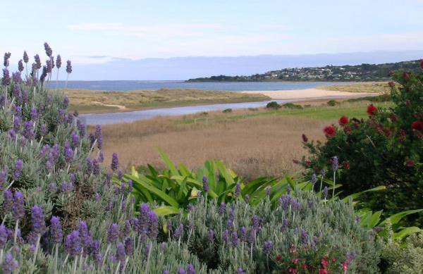 A Great Ocean View Motel Apollo Bay Εξωτερικό φωτογραφία